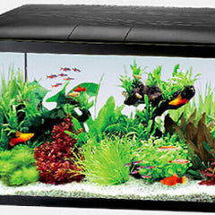 Collection image for: Ψάρια