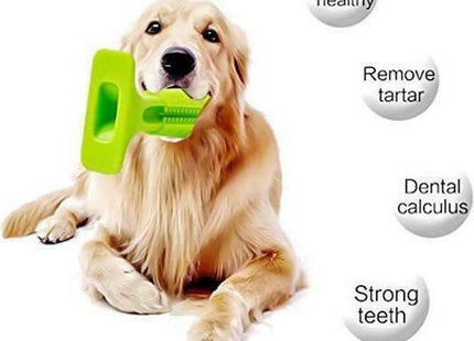 Σκύλος κρατά πράσινη οδοντόβουρτσα σιλικόνης με λαβή και πλευρικές τρίχες.