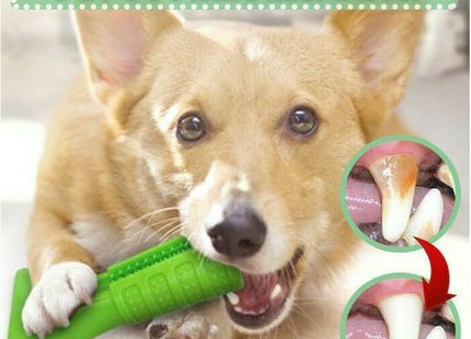 Σκύλος χρησιμοποιεί πράσινο pet toothbrush stick και εικονική σύγκριση δοντιού.